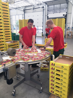 Das Etikettieren der Ware