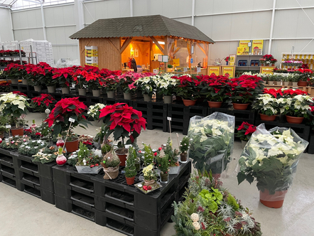 Adventsmarkt in unserem Direktverkauf