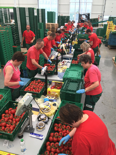 Alle Hände voll zu tun