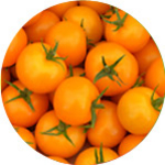 Barther Cherrytomaten Barther Cherrytomaten