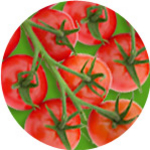 Barther Cocktailtomaten Barther Cocktailtomaten