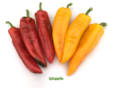 Snackgemüse: Unsere Spitzpaprika