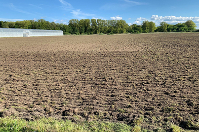 Nun kann ausgesäat werden