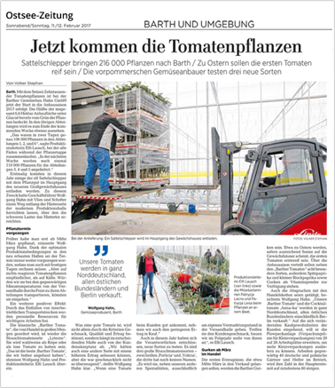 Jetzt kommen die Tomatenpflanzen Jetzt kommen die Tomatenpflanzen
